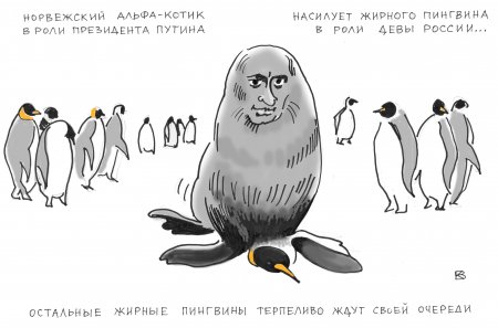 Путин в роли котика